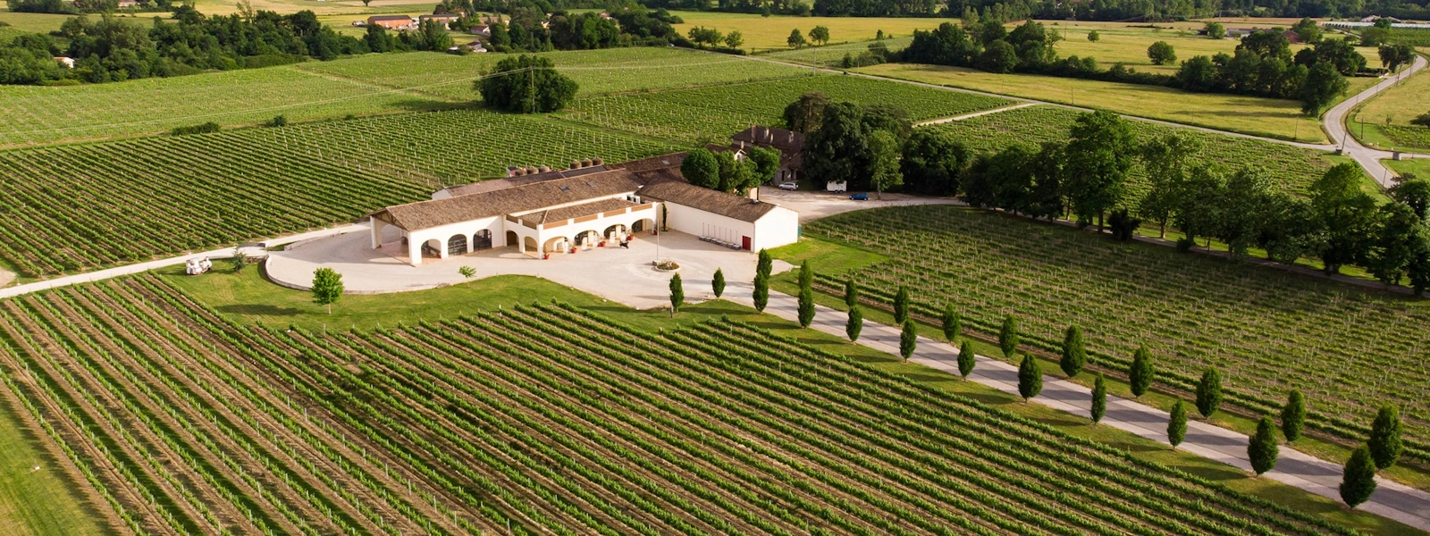 Photo de VIGNOBLES ROMAIN