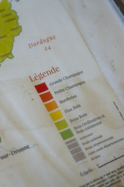 Photo de Visite oenotouristique guidée 