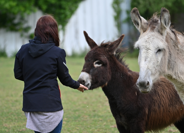 Photo de La P'tite ferme de Carole