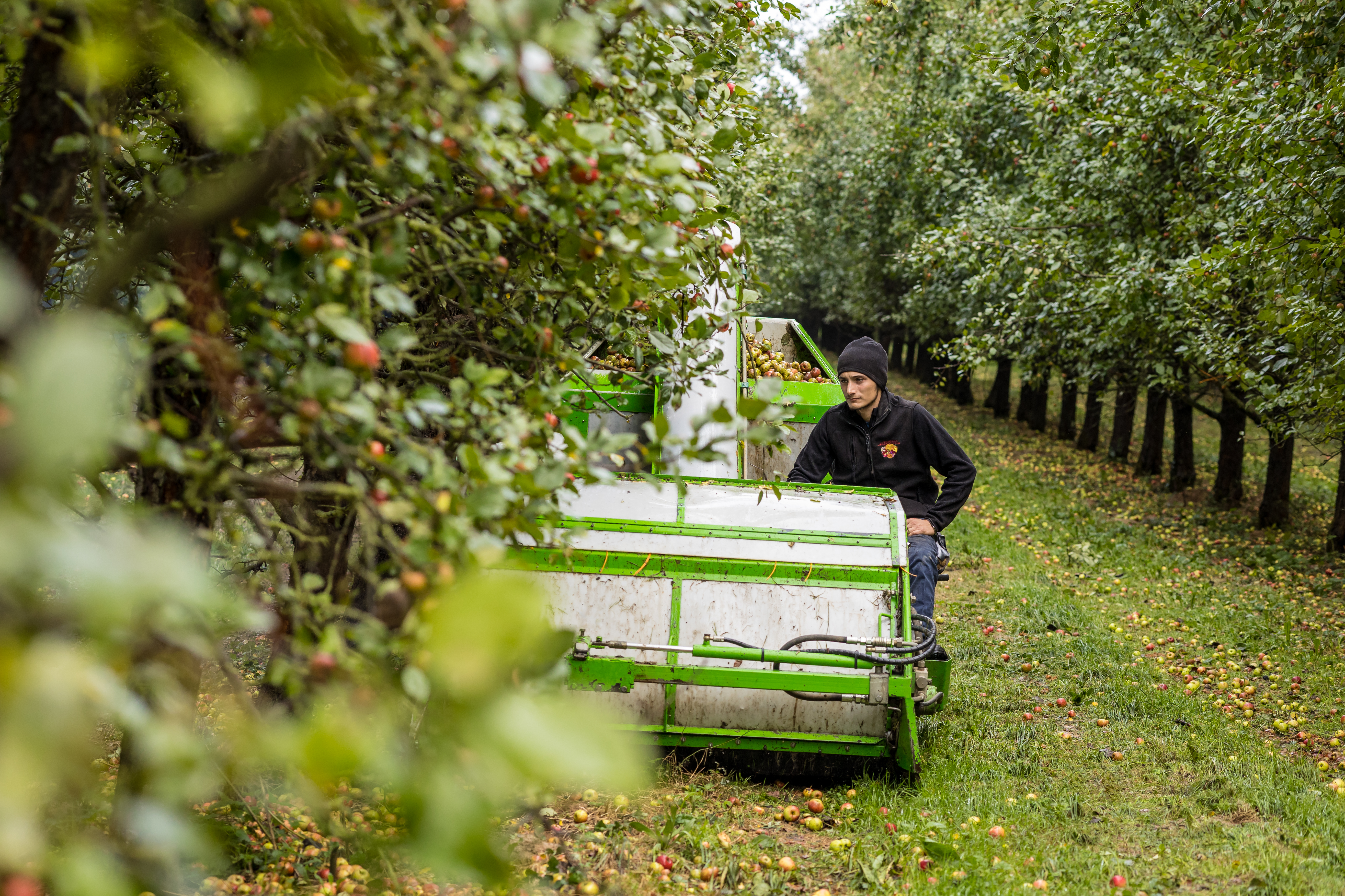 Photo de Les vergers de Saint-Pierre
