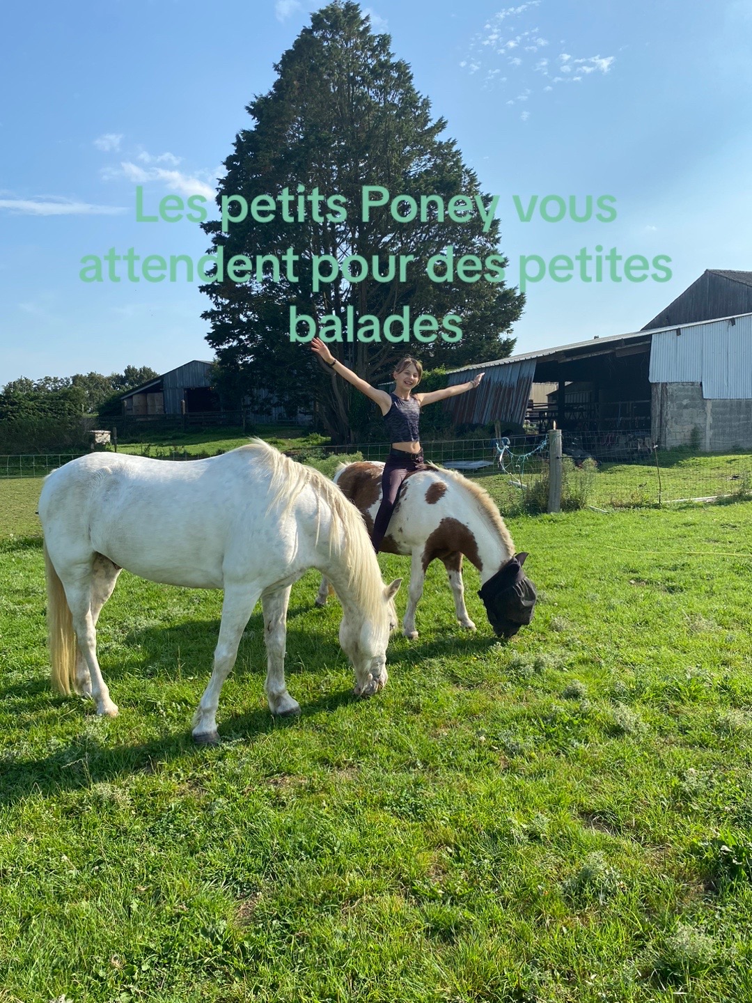 Photo de Balade poney