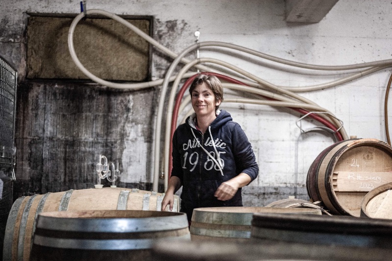 Photo de Visite de domaine et dégustation 