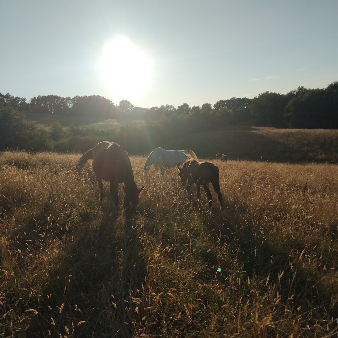 Photo de La Halte de d'Artagnan