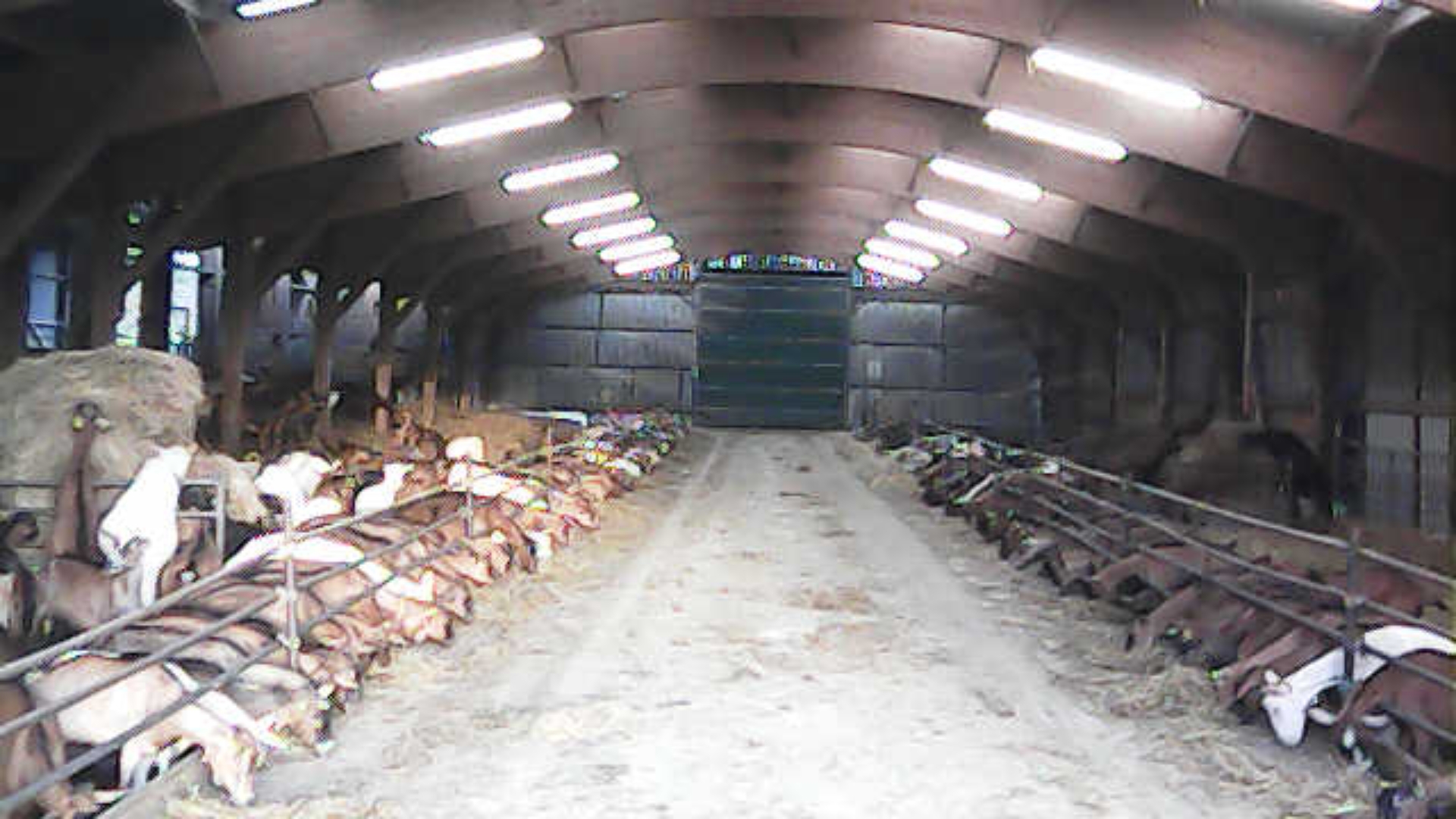 Photo de Gaec des Pampilles 