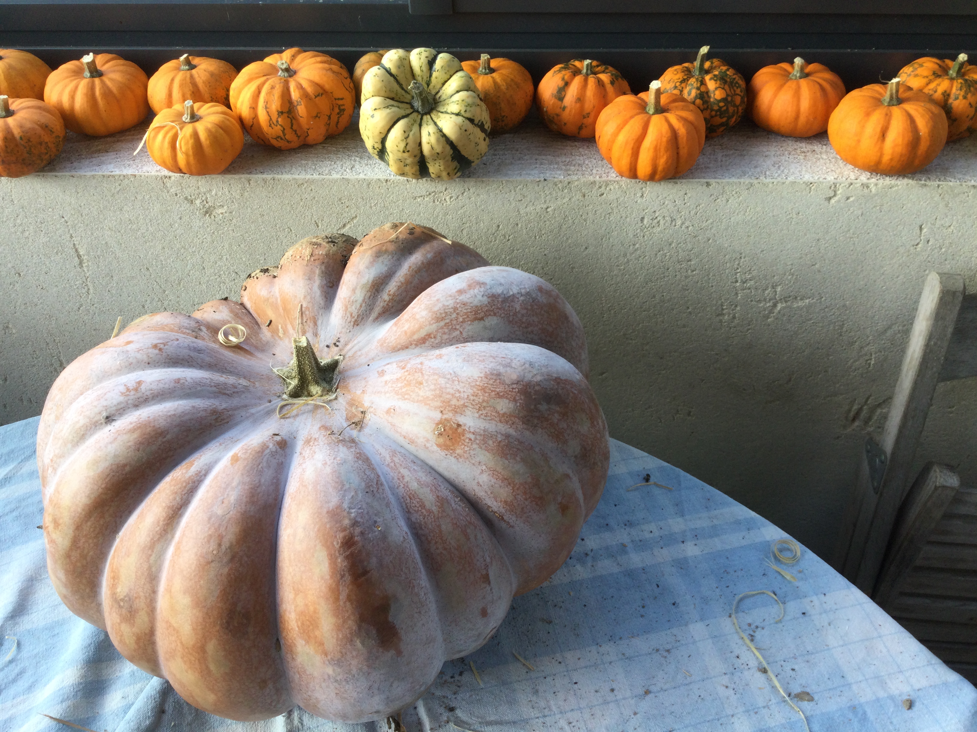 Photo de Les Jardins de la Coccinelle