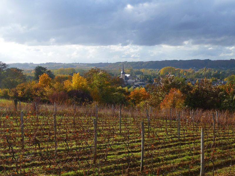 Photo de Journée patrimoine & biodiversité