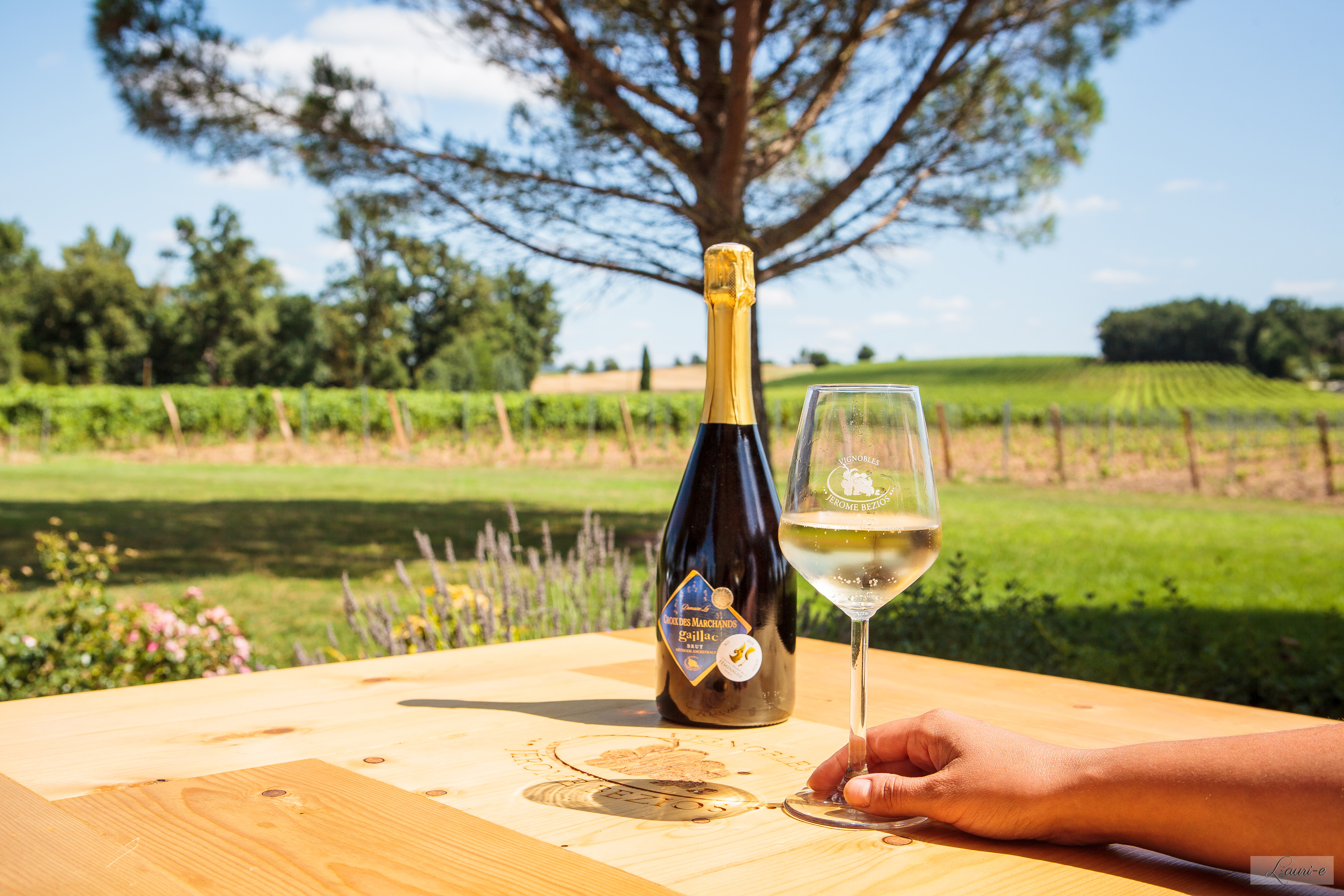 Photo de Vignobles Jérôme Bézios