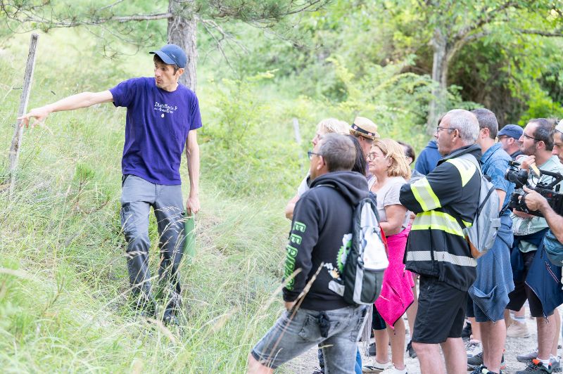 Photo de Randonnée familiale dans les champs de lavande du Vercors