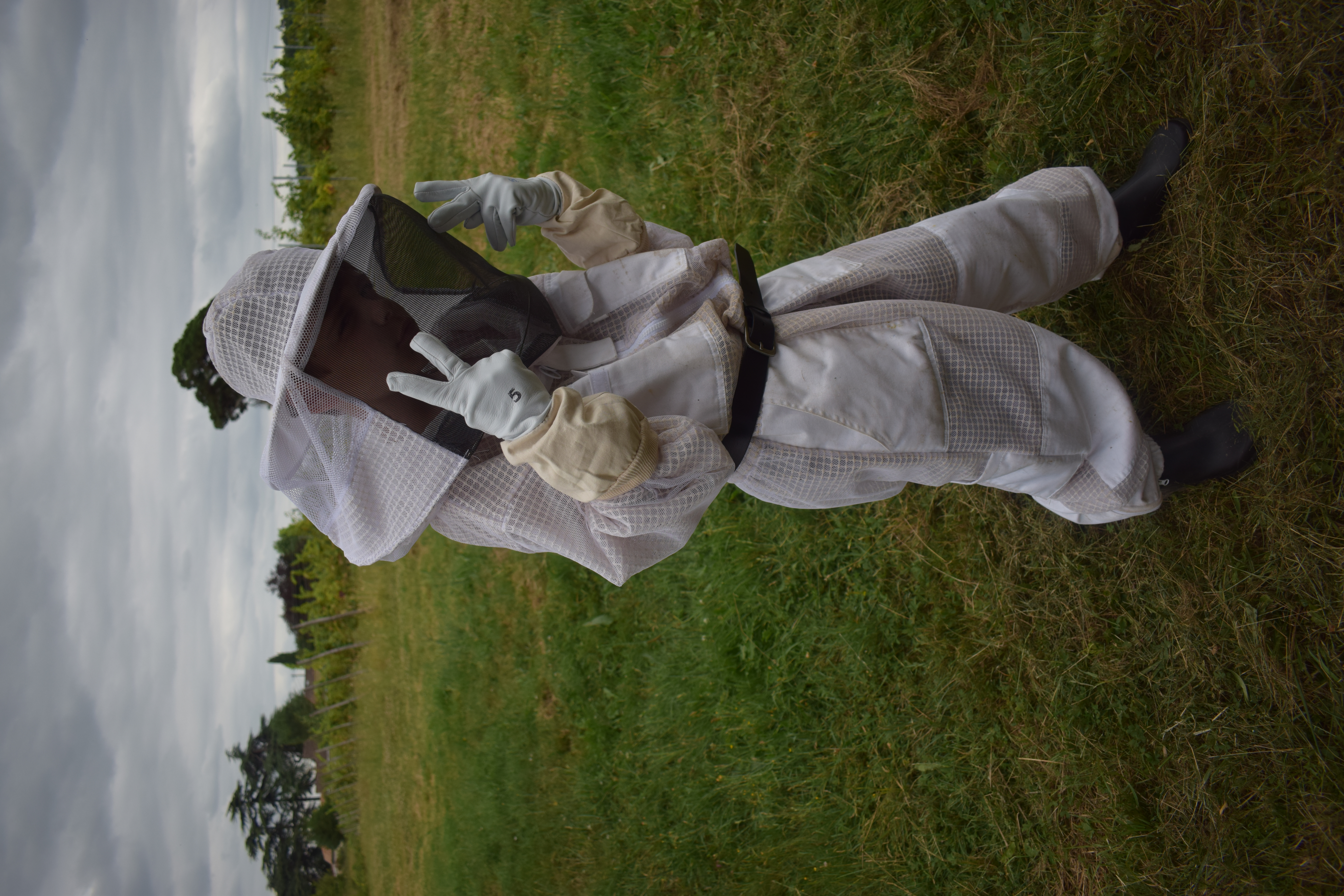 Photo de Découverte du monde des abeilles