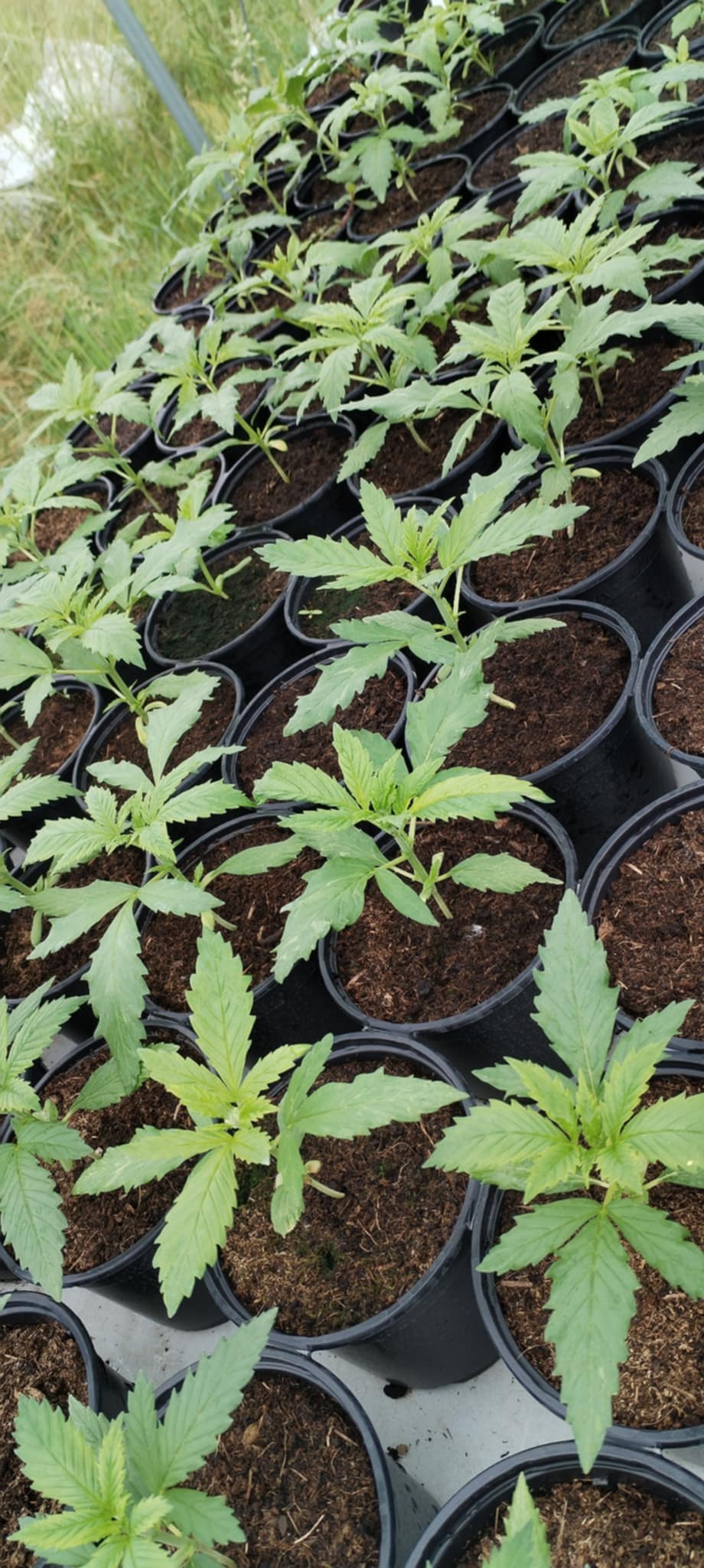 Photo de Visite/dégustation