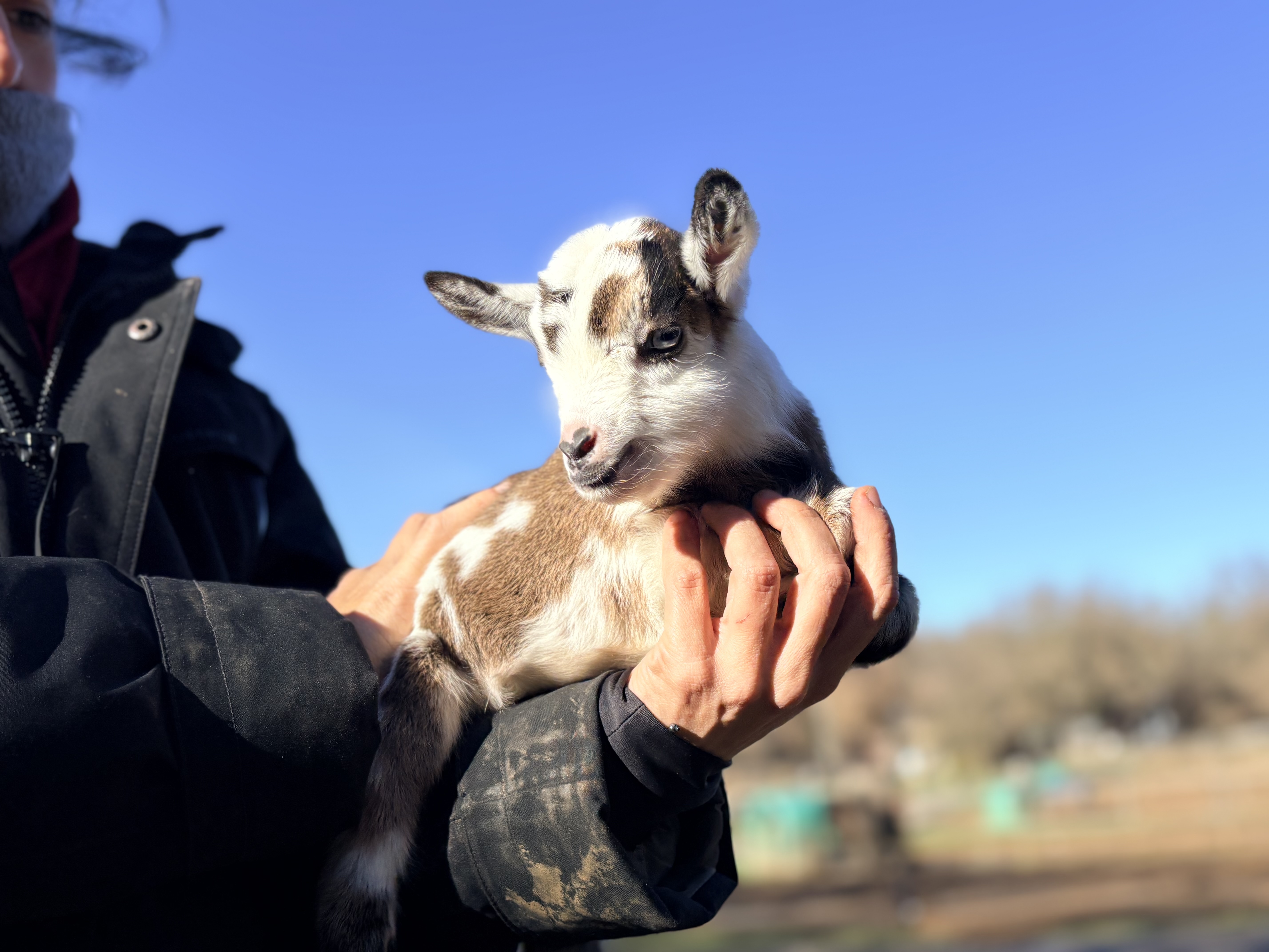 Photo de Les ecuries d’edoras