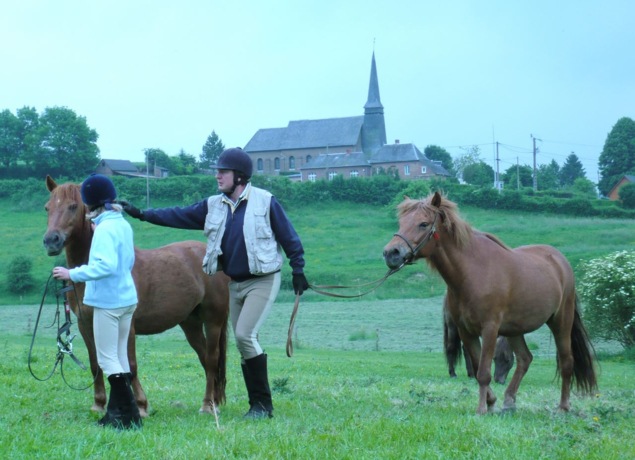 Photo de Poney-Club de Bois Guilbert