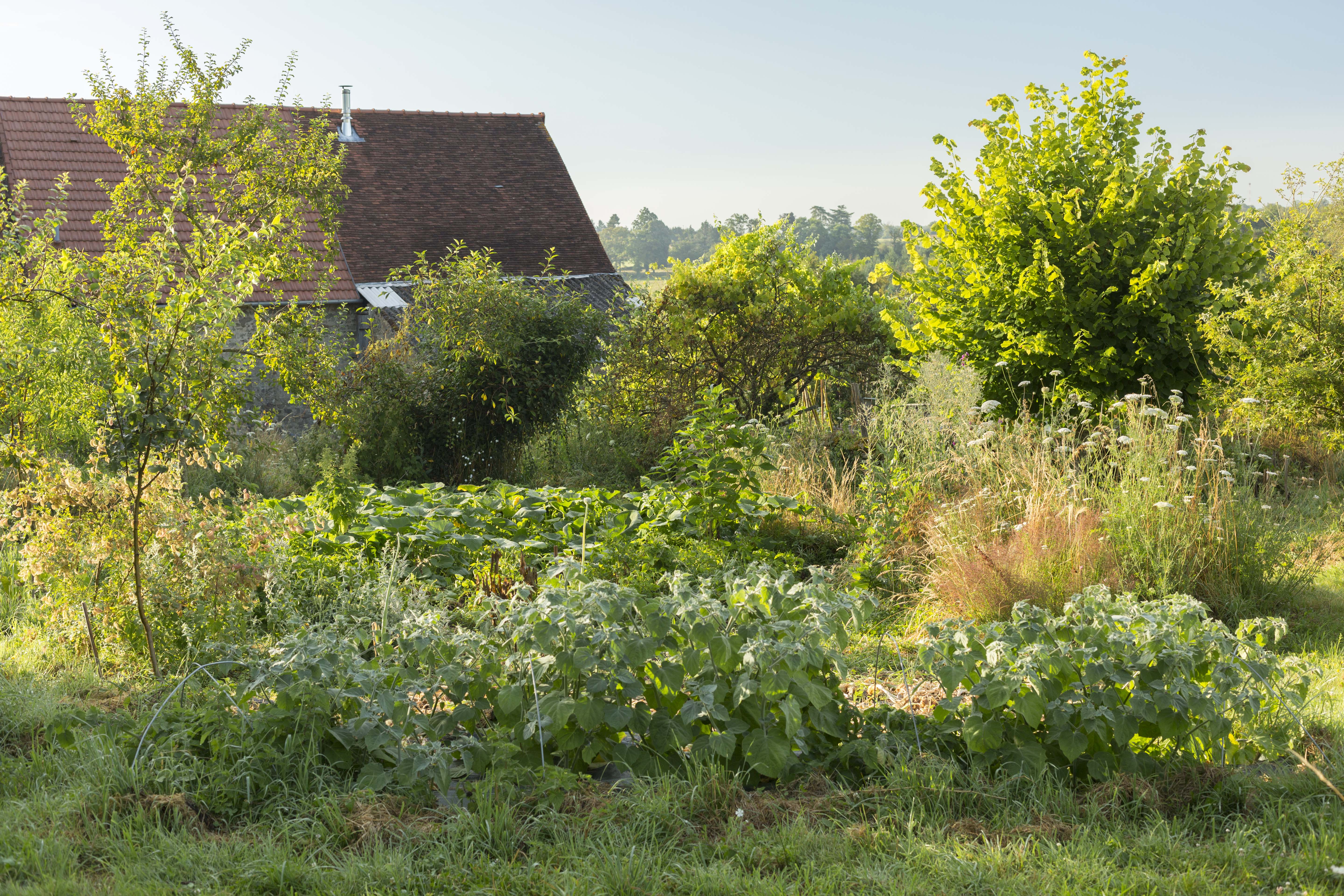 Photo de Jardin-Forêt Les Blaireautins