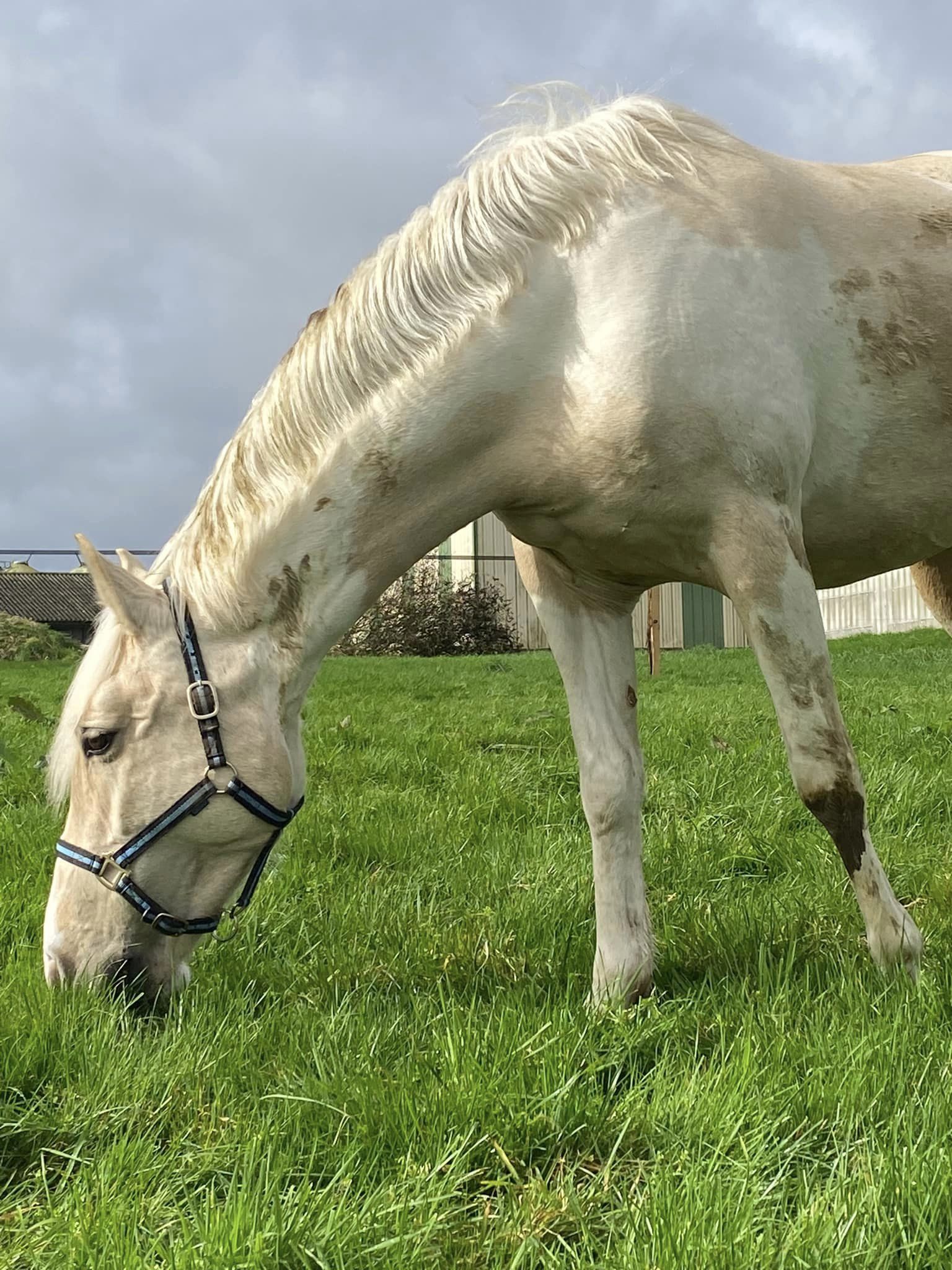 Photo de Gaec du Castelo