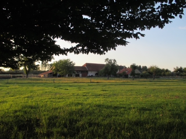 Photo de Visite pédagogique d'une ferme en lien avec son terroir, l'EARL du pont blanc