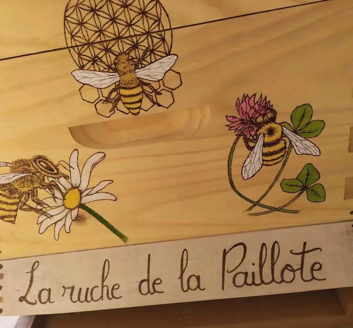 Photo de La paillote 