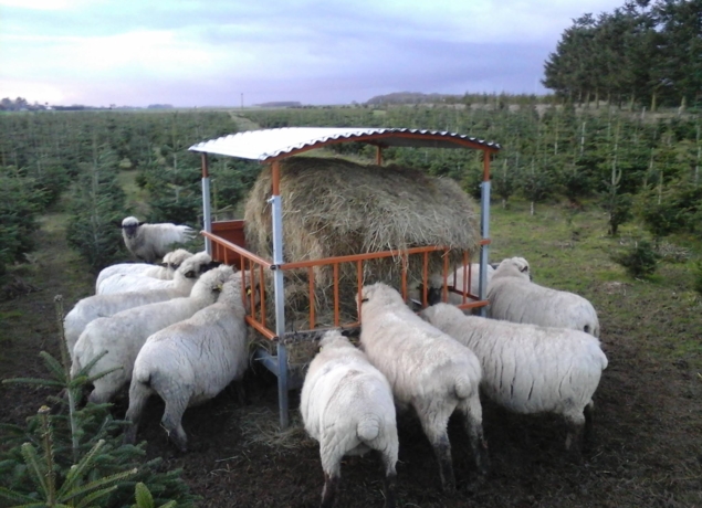 Photo de Ferme de la Choltière