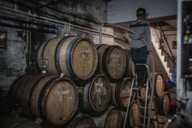 Photo de Visite de domaine et dégustation 