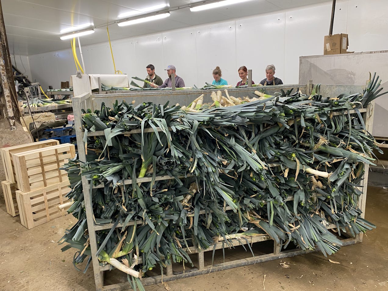 Photo de SCEA Bailliet