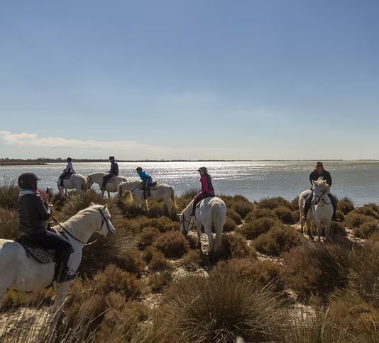 Photo de Balade à cheval