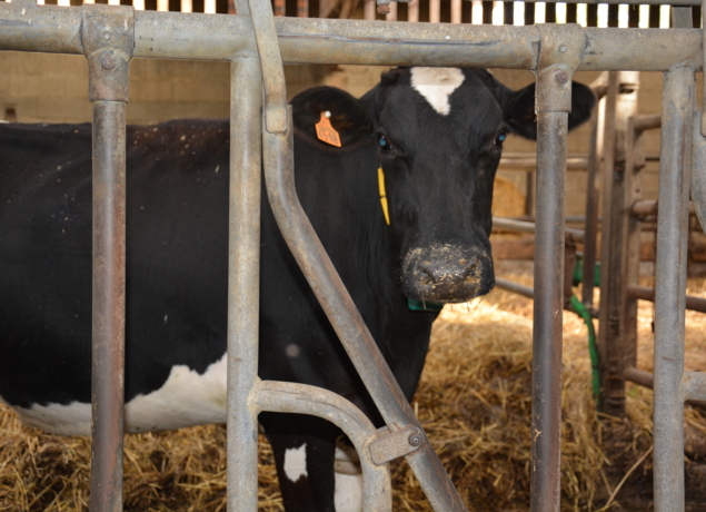 Photo de La Ferme de la Fontaine Orion