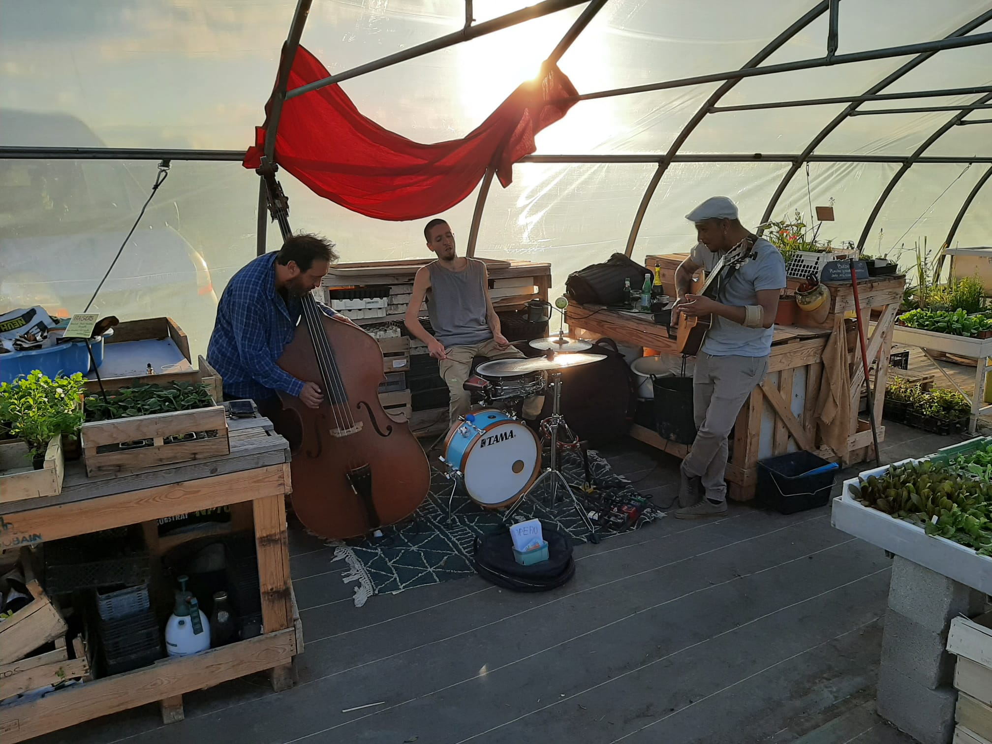 Photo de Fête diversifiée du printemps à la pépinière