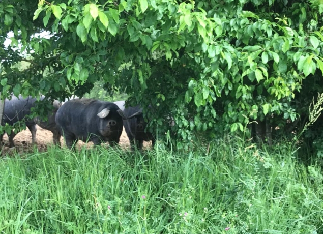 Photo de Domaine Rey