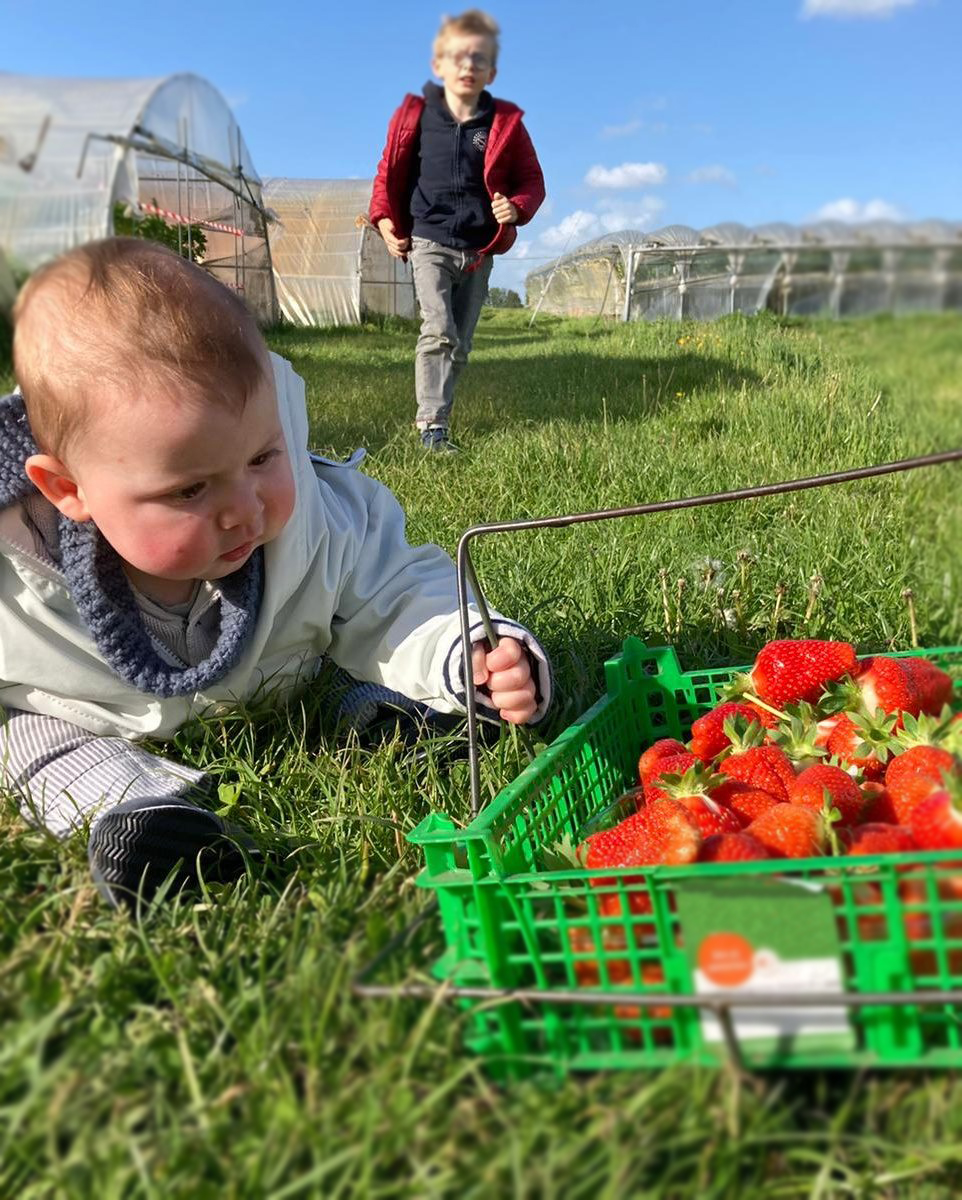 Photo de Cueillette à la ferme