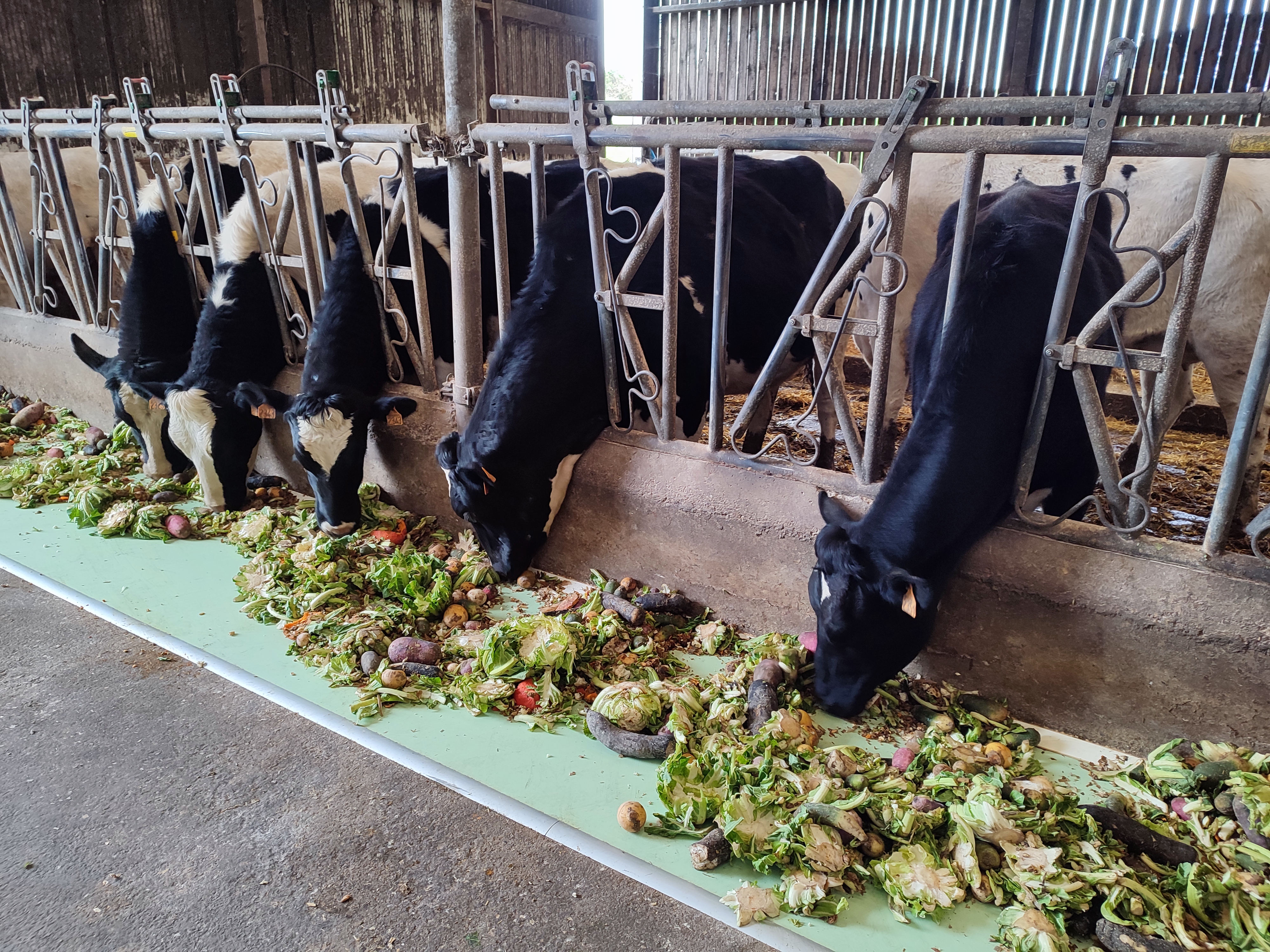 Photo de Visite de la ferme