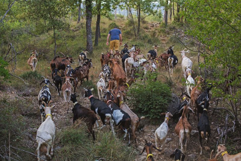 Photo de Rando biquette 