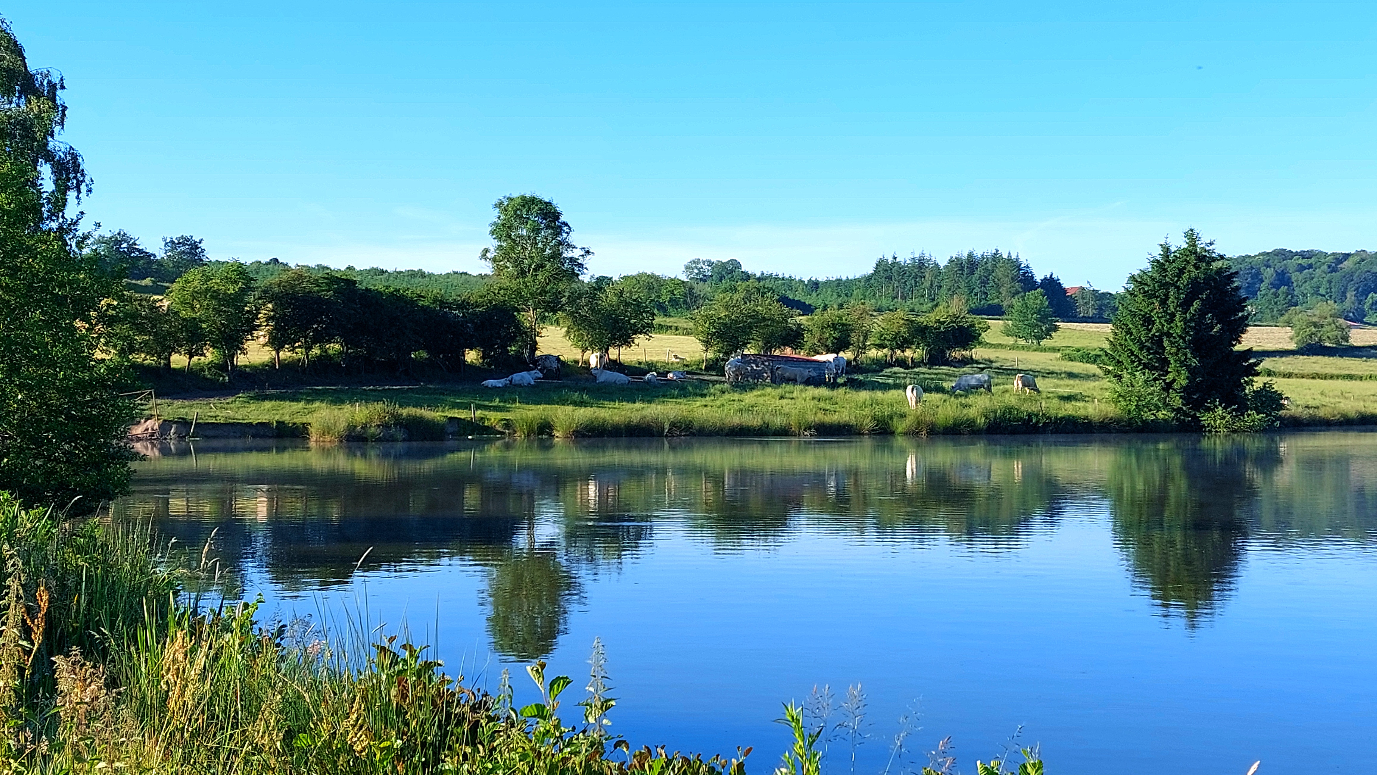 Photo de Un p'tit coin de paradis