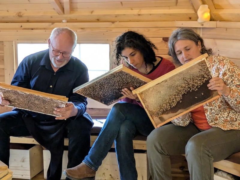 Photo de Teambuilding Mielifique 