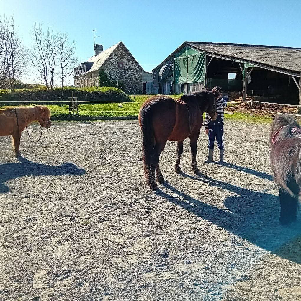 Photo de Eco ferme pédagogique de Chambesne centre équi social 