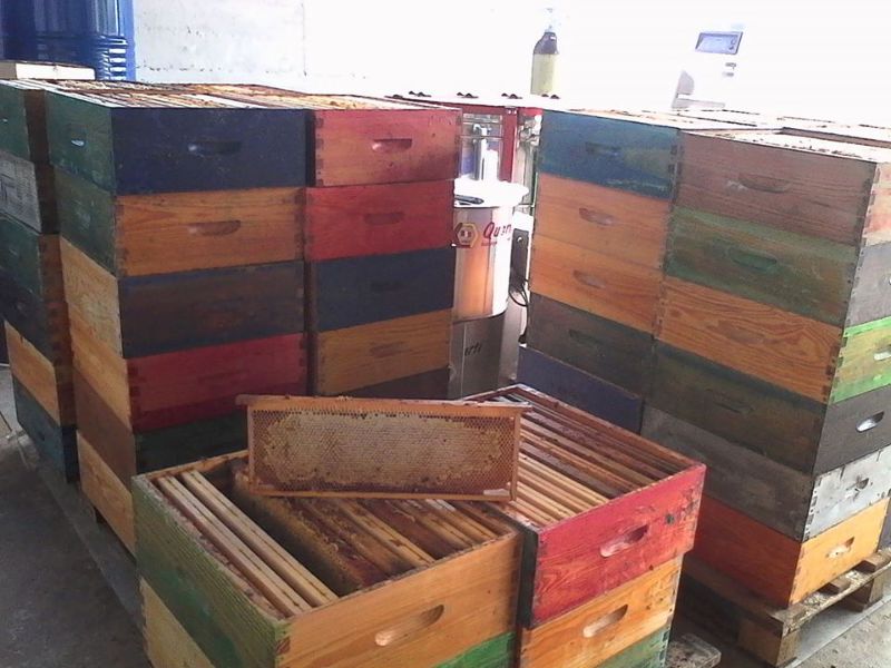 Photo de visite de la miellerie