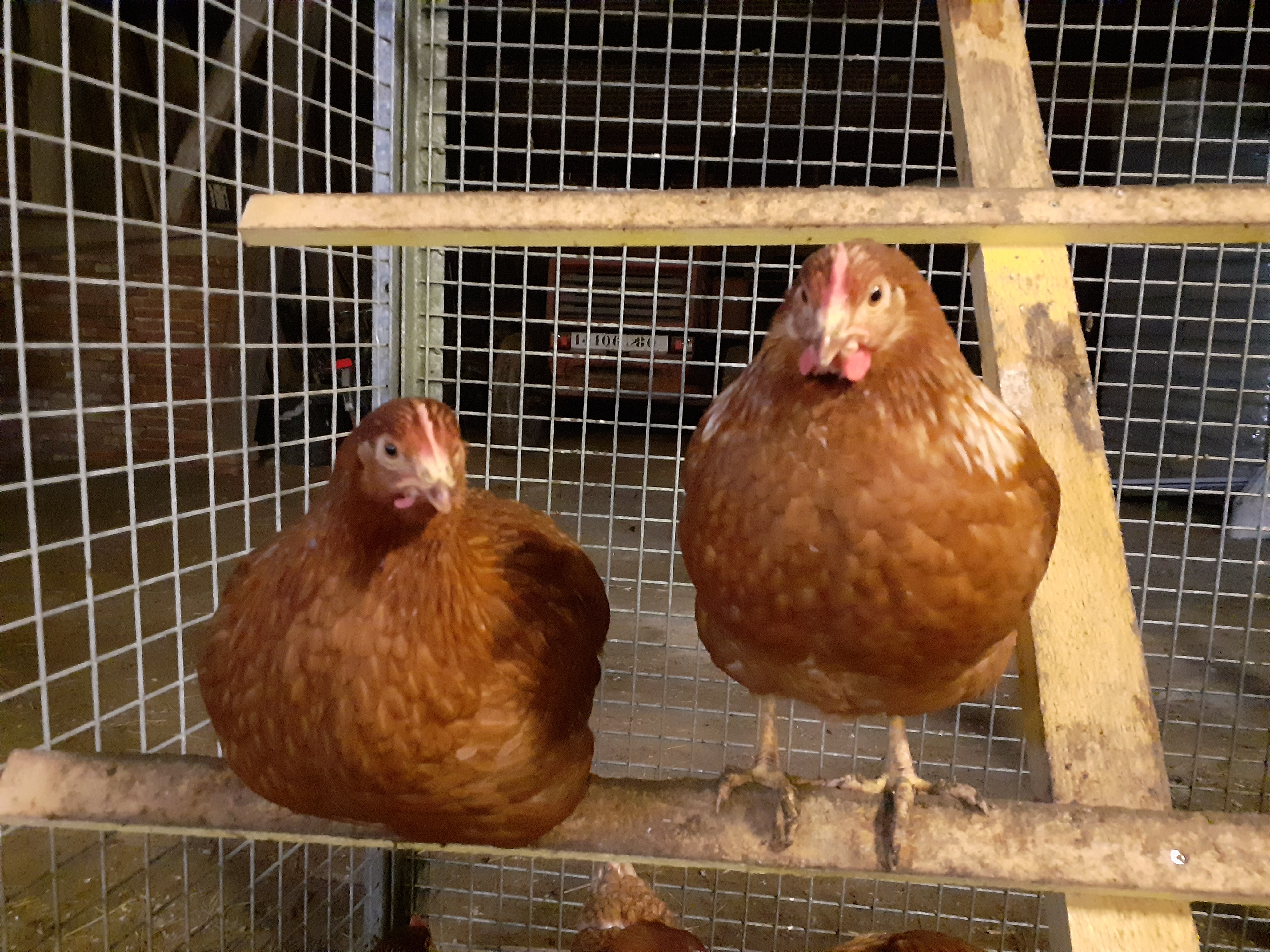 Photo de L'HappyCulture de Lucie