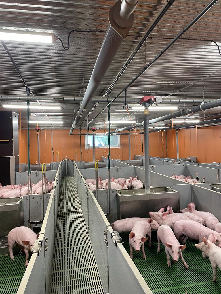 Photo de Visite à la ferme