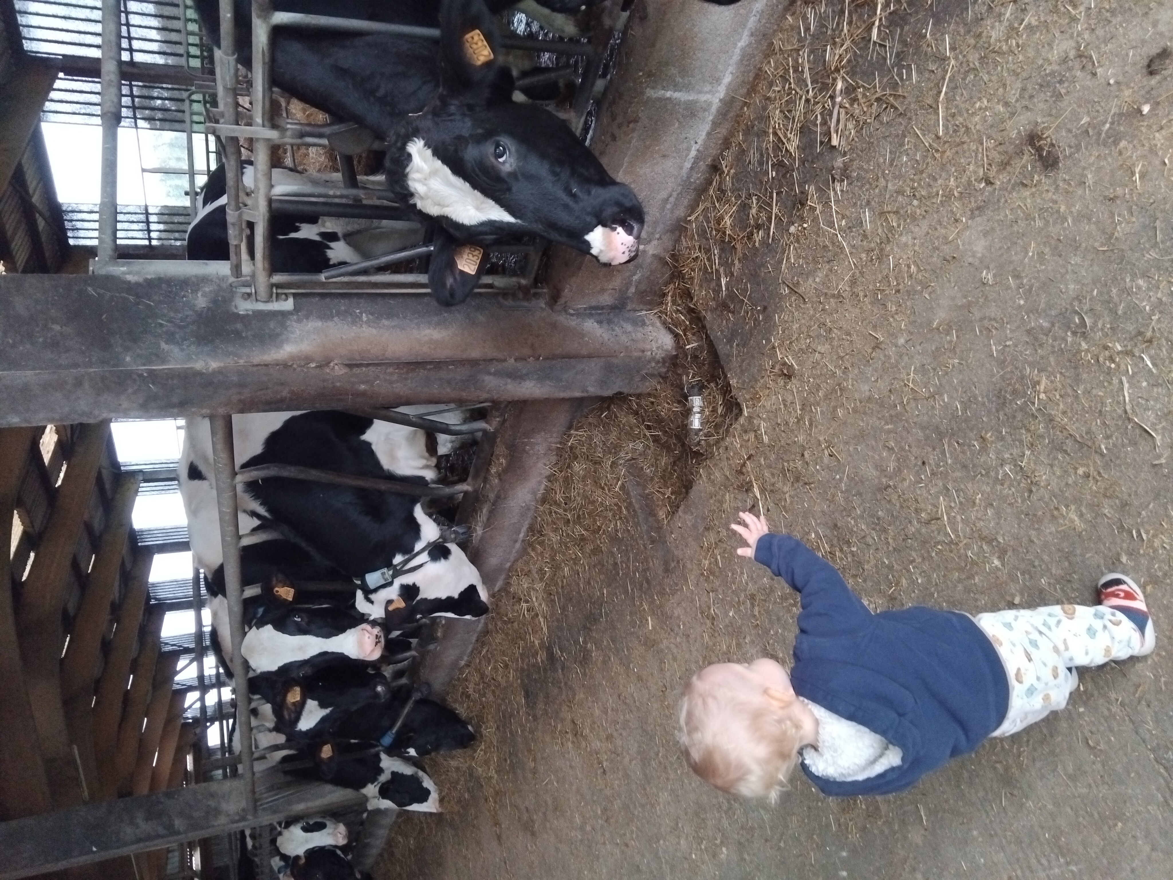 Photo de GAEC de la vallée de Saint Flour - Lait Gourmandises 