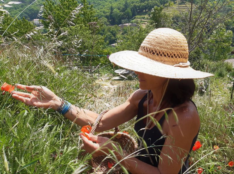 Photo de Usages des plantes sauvages 