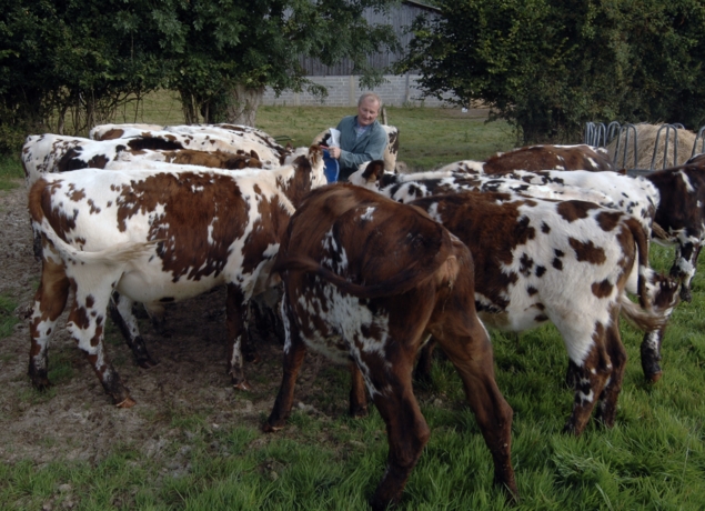 Photo de Ferme Pédagogique du Lieu Roussel
