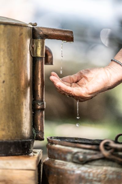 Photo de Atelier d'aromathérapie familiale dans une distillerie d’huile essentielle