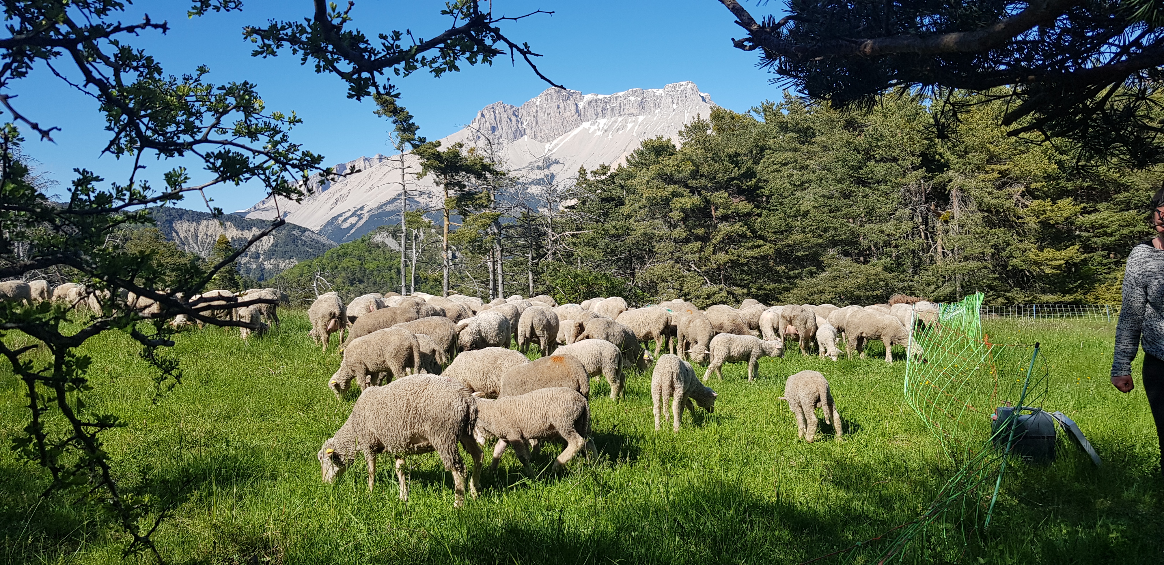 Photo de La ferme de mon père