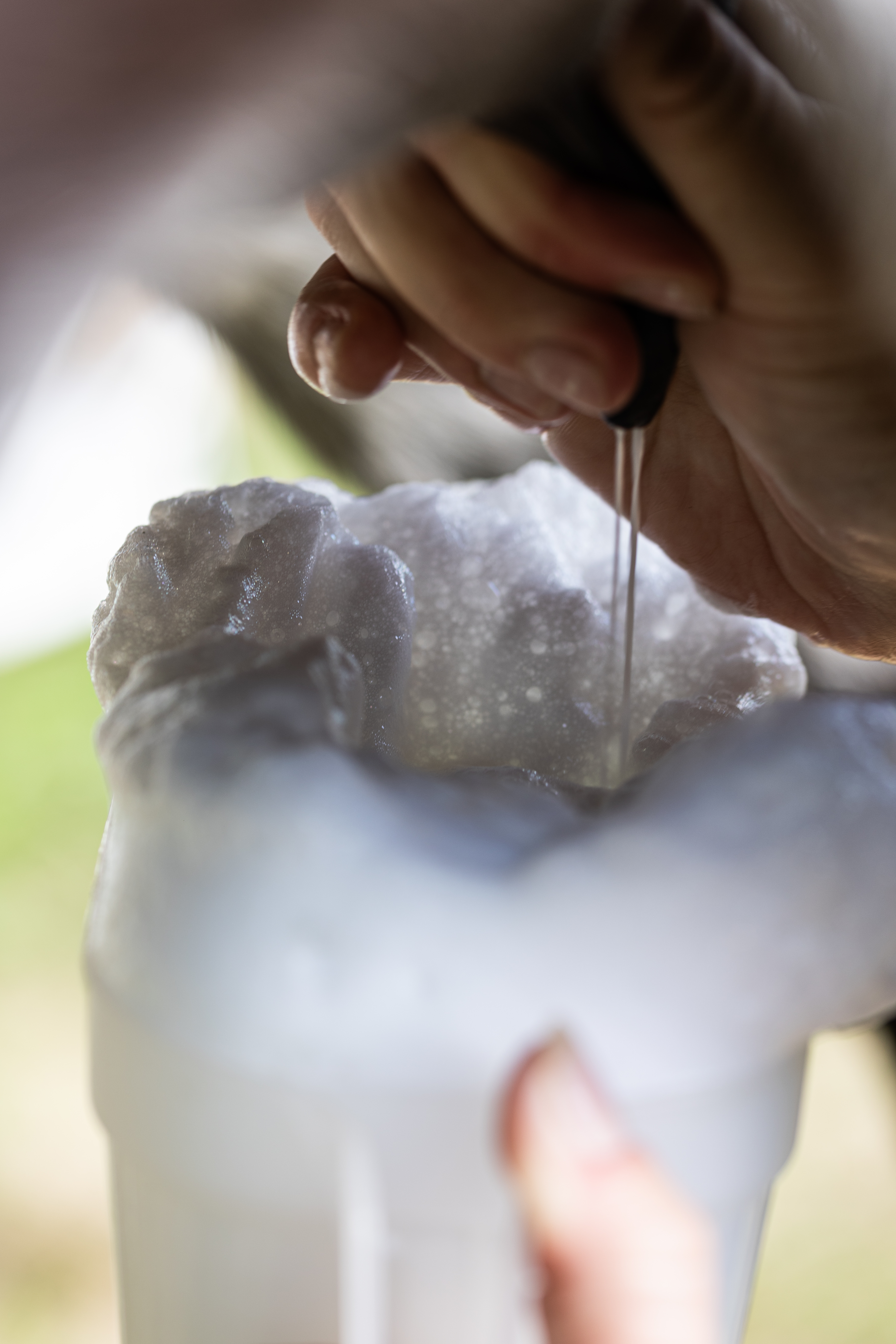 Photo de ASINERIE DE PES VITIS