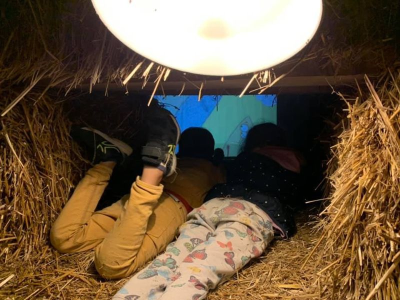 Photo de 4eme Soirée Ciné biquette câlins , plaid et chocolat chaud.