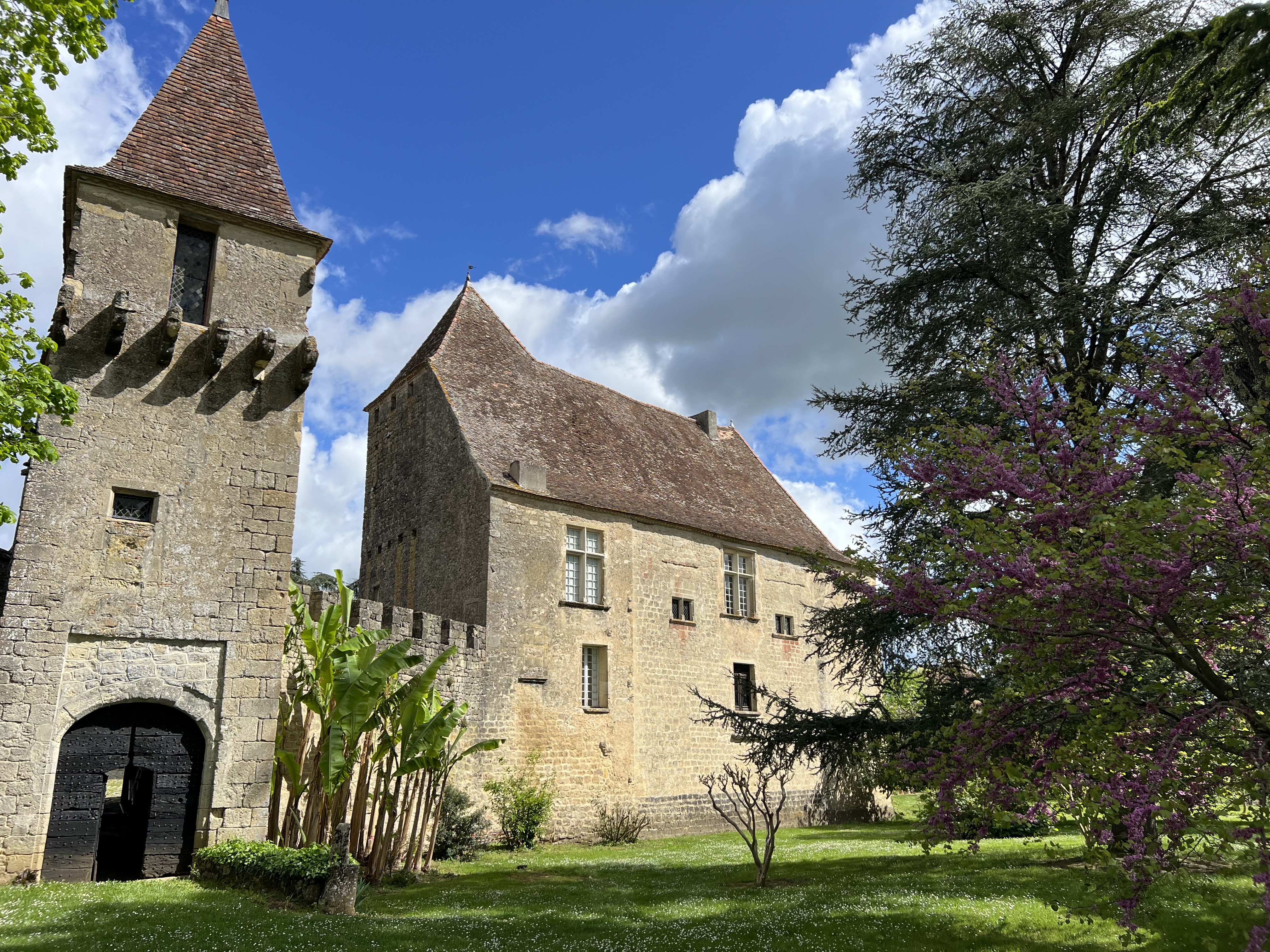 Photo de Visite et dégustation du Chateau et des chais 