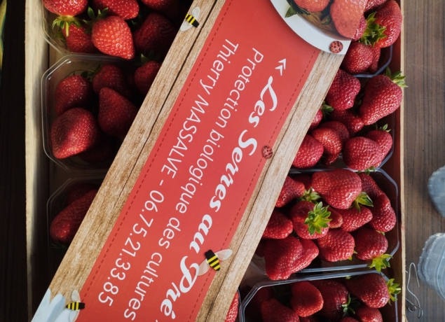 Photo de LES SERRE AU PRE - Thierry Massalve