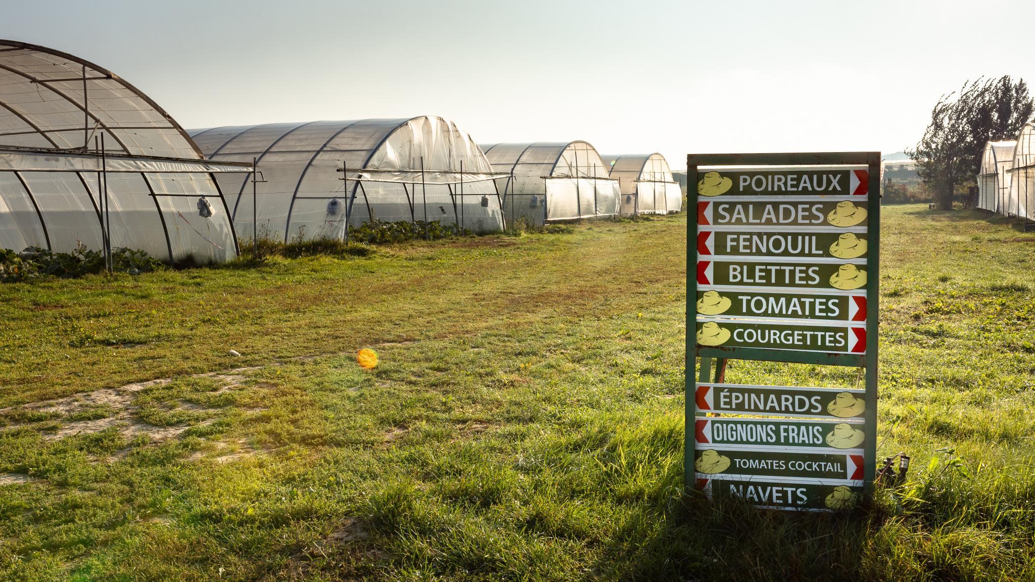 Photo de Cueillette de Torfou