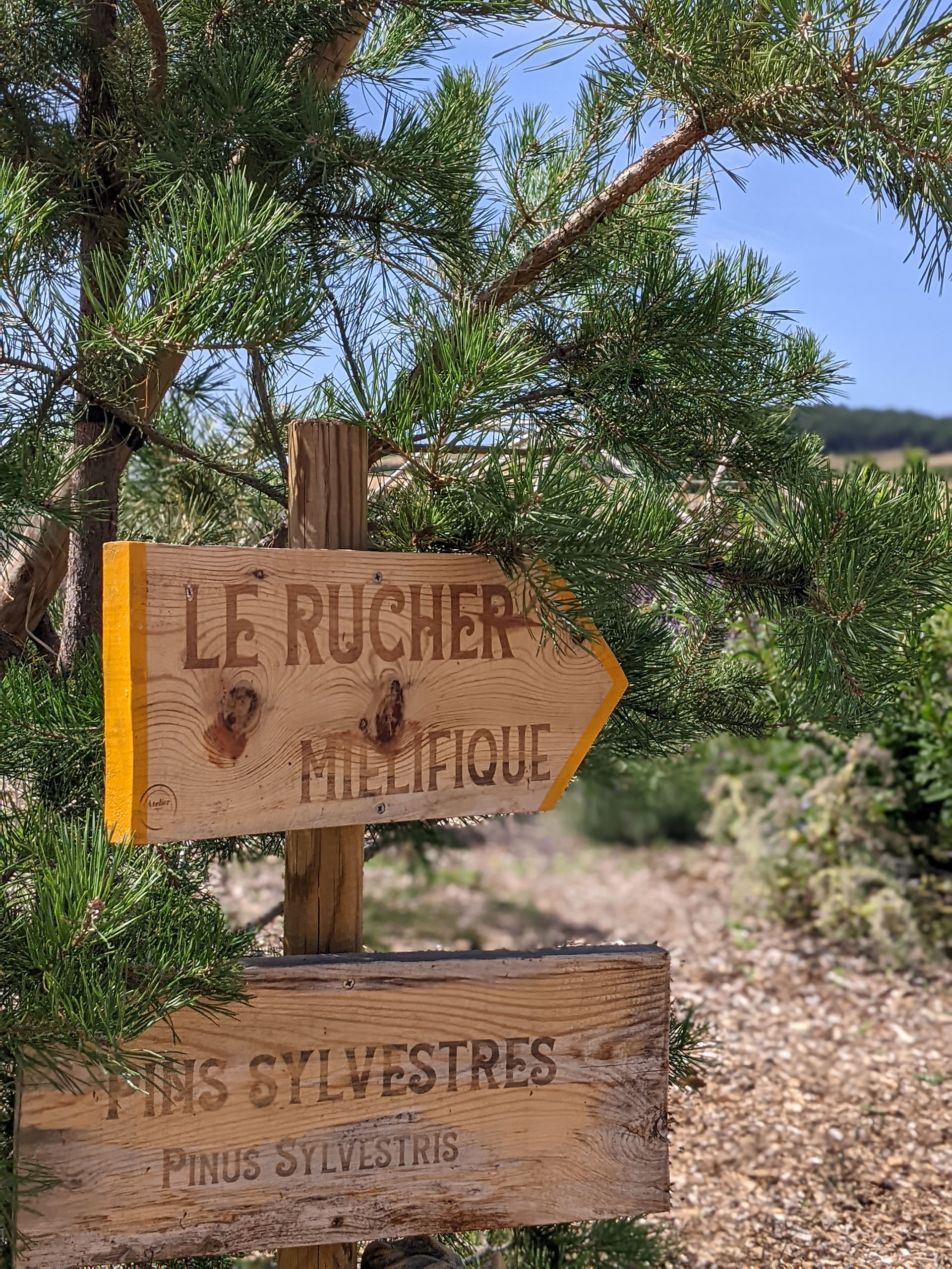 Photo de La Ferme Mielifique 