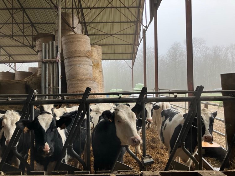 Photo de Visite de la ferme