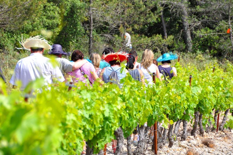 Photo de Balade vigneronne