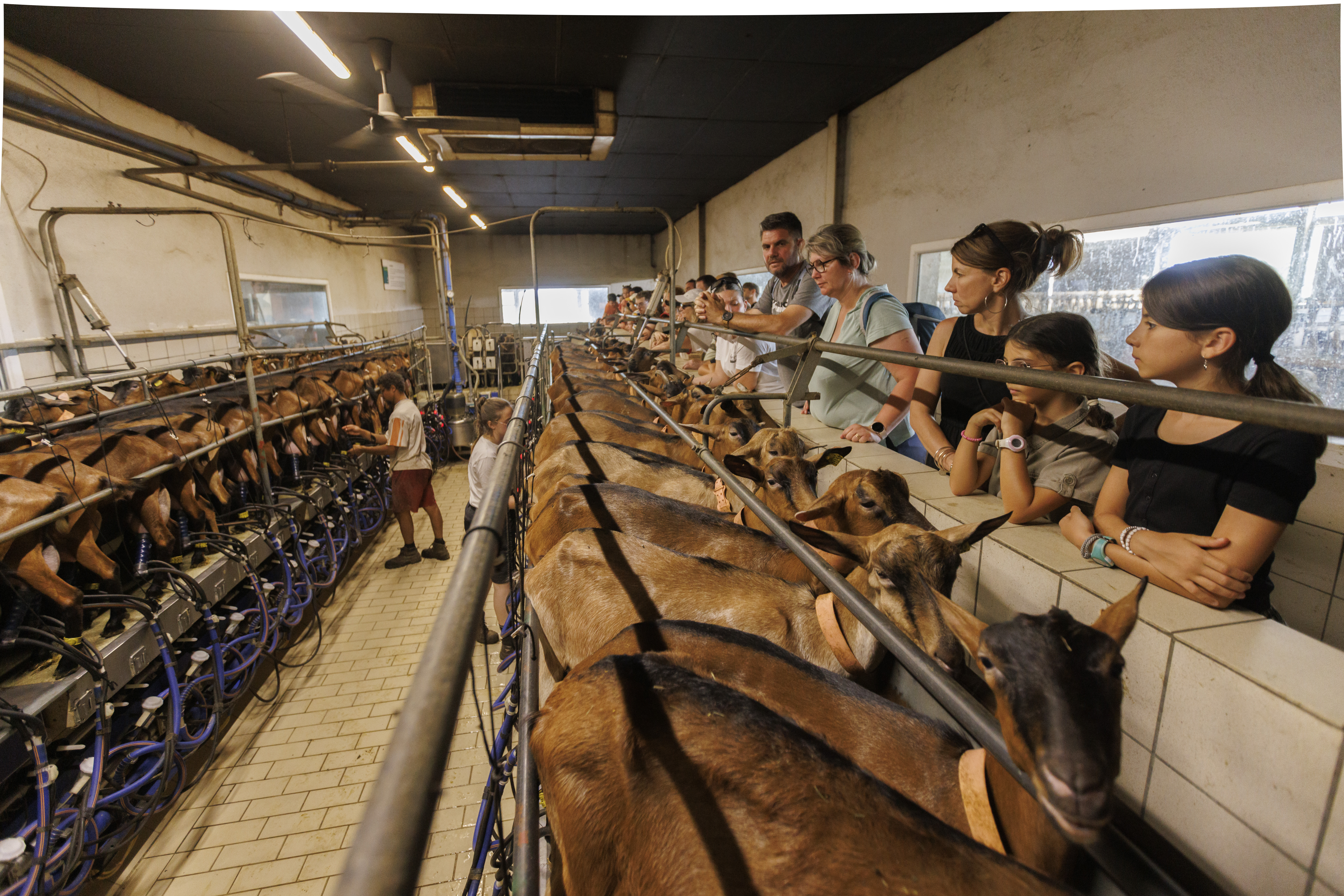 Photo de Ferme la Borie d'Imbert